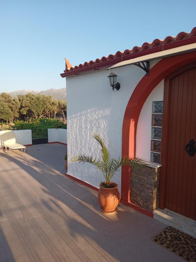 Villa Ampelia Sitia  Eksteriør billede